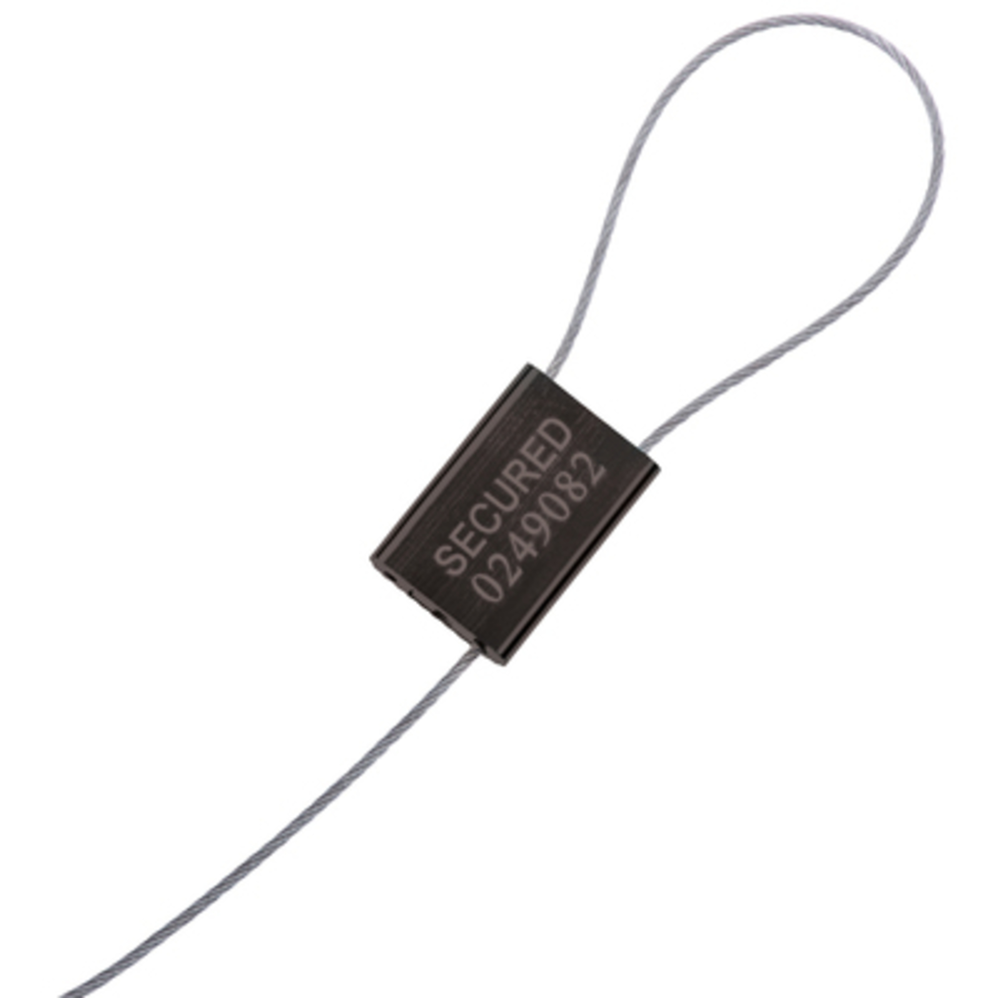 1/16 x 12in. Cable Seals - Black 100/CS, Model# SE1050B